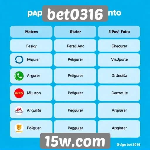 Métodos de pagamento oferecidos pelo site bet0316